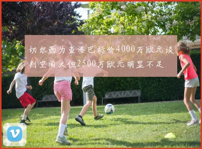 切尔西为查洛巴标价4000万欧元谈判空间大但2500万欧元明显不足