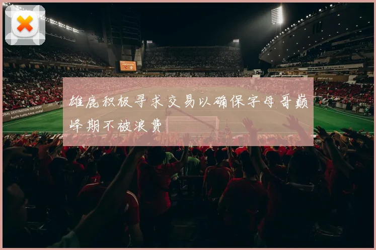 雄鹿积极寻求交易以确保字母哥巅峰期不被浪费